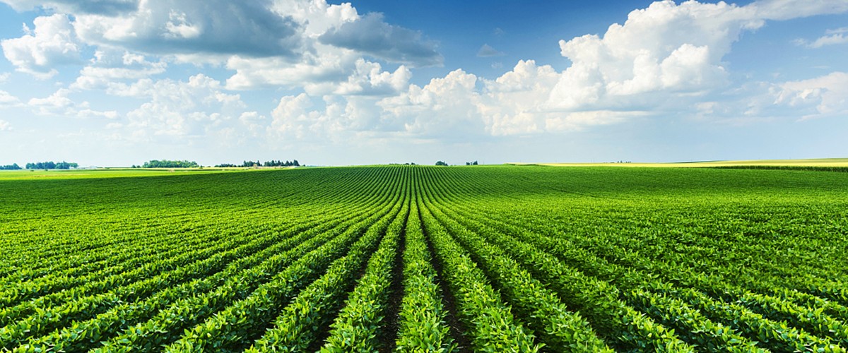 1635845500127115.jpg 00.jpg