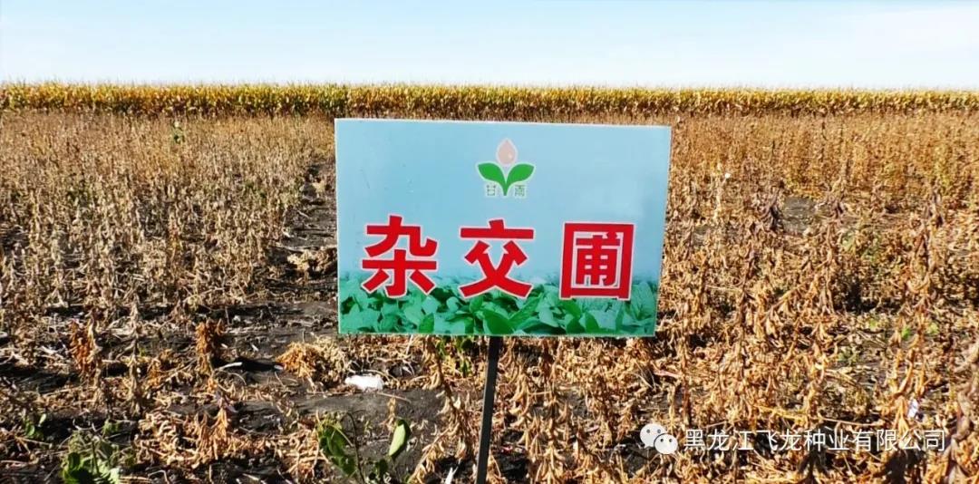 1640669459102871.jpg 2.jpg