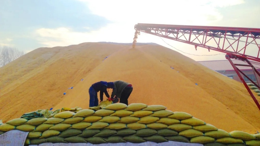 1732324221108586.jpg 1.jpg